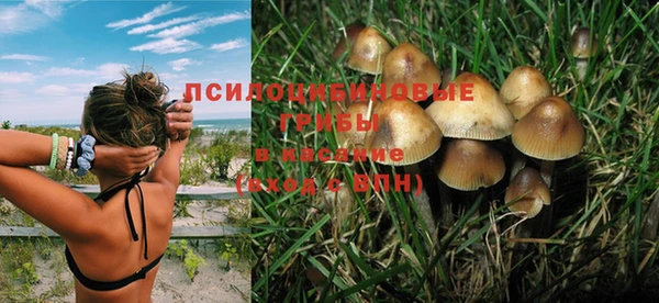дживик Дмитриев