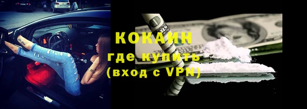 гашик Новодвинск