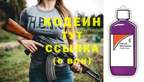 гашик Новодвинск