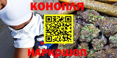 МДПВ Кингисепп