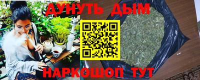 МДПВ Кингисепп