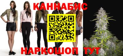МДПВ Кингисепп