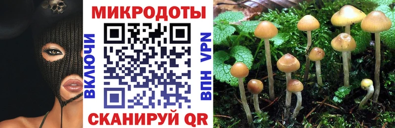 omg ССЫЛКА  Нурлат  Псилоцибиновые грибы прущие грибы  купить наркоту 