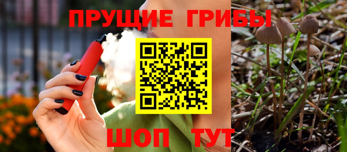 Галлюциногенные грибы Psilocybe Нурлат