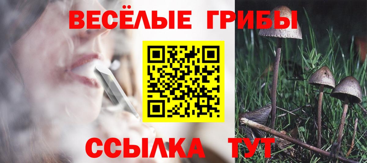 Псилоцибиновые грибы MAGIC MUSHROOMS  Псилоцибиновые грибы Psilocybe  Вход с VPN  Нурлат 